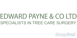 Edward Payne and Co