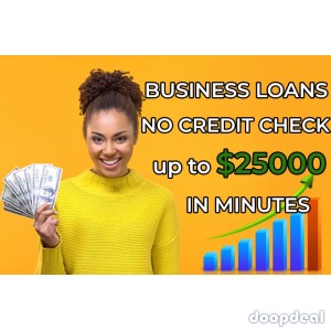 Business Loans No Credit Check up to  $25000 in minutes