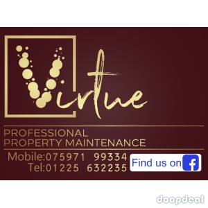 Virtue professional property maintenance