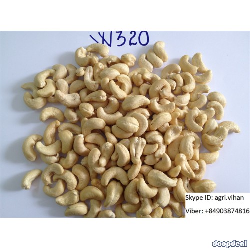 Vietnamese Cashew Nut Kernels WW240, WW320